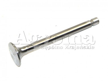 Zawór wydechowy silnika C-360