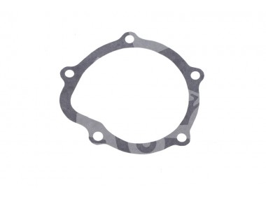 Uszczelka pompy wodnej 