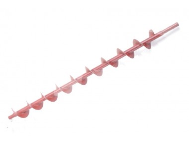 Ślimak ziarnowy dolny