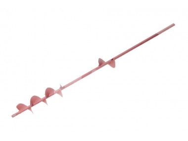 Ślimak ziarnowy g&oacute;rny