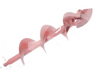 Ślimak skośny ziarnowy