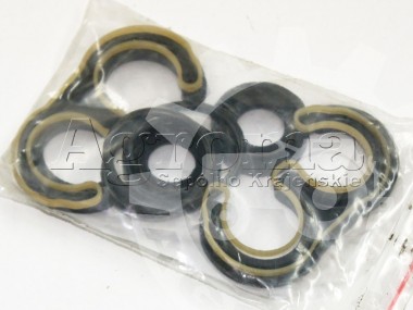 Zestaw uszczelnień pompy układu kierowniczego MTZ