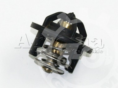 Termostat Pronar-320