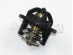 Termostat Pronar-320