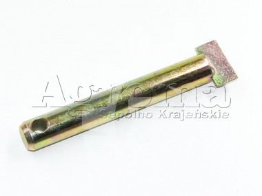 Sworzeń mocujący hak transportowy