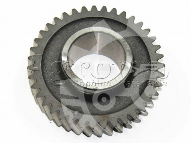 Koło stałego zazębienia