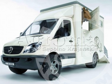 Samochód Mercedes Sprinter do przewozu koni