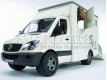 Samochód Mercedes Sprinter do przewozu koni