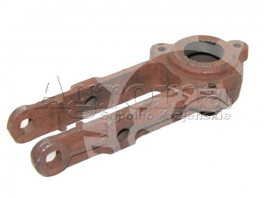 Gł&oacute;wka Bizon