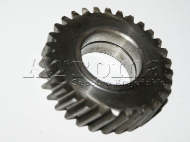 Dolne koło pośrednie