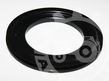 Pierścień uszczelniający smoka