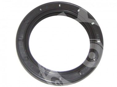 Uszczelniacz /52 x 72 x 8/