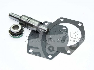 Zestaw naprawczy pompy wodnej MF 4-cyl